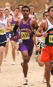 2009 CIF XC Boys D5-039